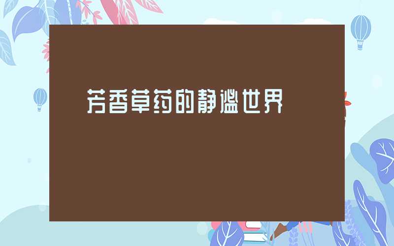  芳香草药的静谧世界